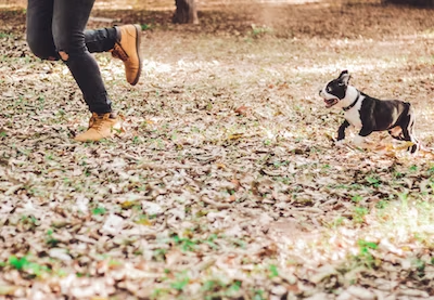 Gesund und aktiv bleiben: Tipps für den perfekten Morgenlauf